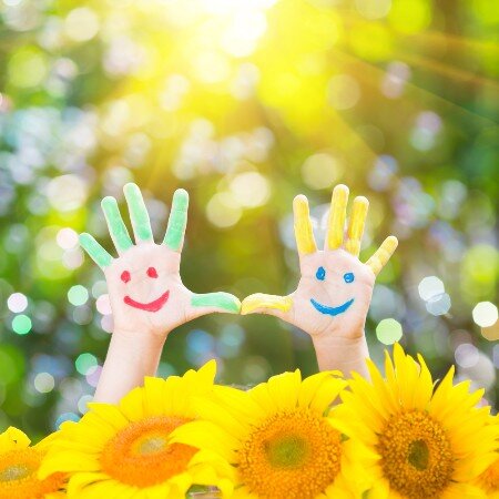 Bild Sonnenblumen Sonnenblumen Bild